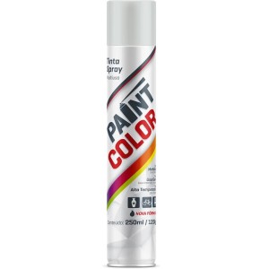 Tinta Spray Branco Fosco C/6 250ML PAINT COLOR