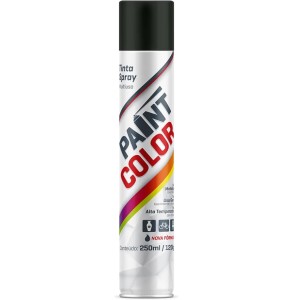 Tinta Spray Preto Brilhante C/6 250ML PAINT COLOR