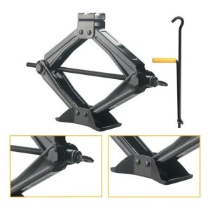 Macaco Sanfona NAPOLES